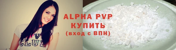 стафф Кодинск