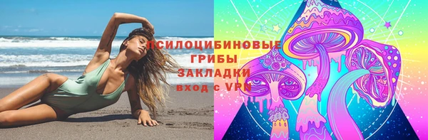 стафф Кодинск