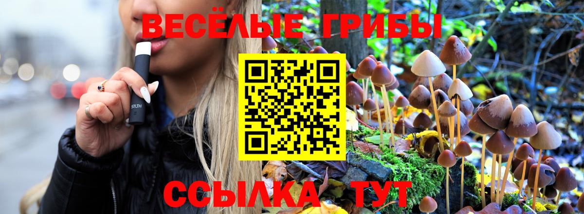 Галлюциногенные грибы ЛСД  Галлюциногенные грибы MAGIC MUSHROOMS  Березники 