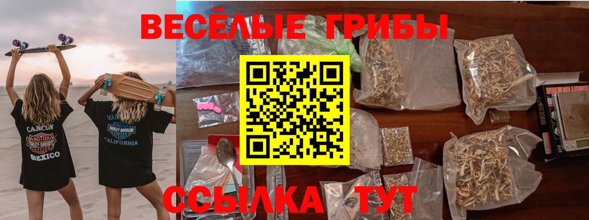 Березники  Псилоцибиновые грибы мицелий  Галлюциногенные грибы GOLDEN TEACHER  Вход с VPN 