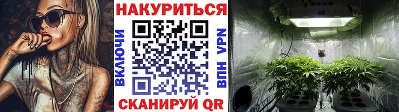 OMG зеркало  Березники  Каннабис сатива 